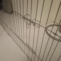 پارک حیوان خانگی