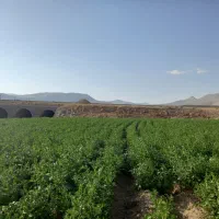 ۵هکتار زمین با ۶اینج اب