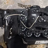 اسکیت حرفه ای