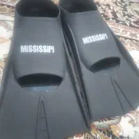 یک جفت فین می سی سی پی