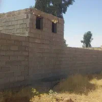 باغشهری-تربر