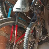 دو عدد دوچرخه درحدد