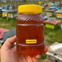 عسل طبیعی از تولید کننده|خوردنی و آشامیدنی|تهران, گیشا|دیوار