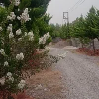 ۴۰۰متر شهرکی لکه زرد|فروش زمین و ملک کلنگی|قائم‌شهر, |دیوار