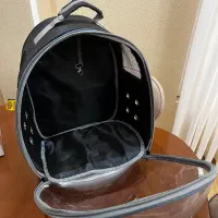 کوله گربه|لوازم جانبی حیوانات|رشت, صفاری|دیوار