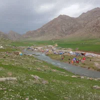 شراکت شریک کاری