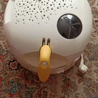 فروش لوزام خانگی