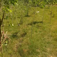 تخصص-فروش-زمین-سرتاسر-استان-گیلان
