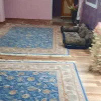 آپارتمان ۱۵۰ متری لاهیجان کنار استخر|فروش آپارتمان|لاهیجان, امیرشهید|دیوار