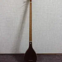 سه تار کاسه متوسط الگوی هاشمی