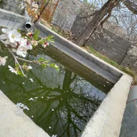 باغ سرسبز
