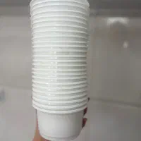 ظروف یکبار مصرف