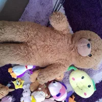 عروسک تدی اسکوتر پمپ بنزین