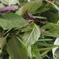 سبزی تازه