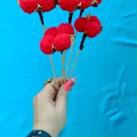 گل خشک و پنبه شاخه ای