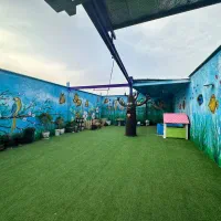 مربی زبان انگلیسی|استخدام آموزشی|پاکدشت, پاکدشت (مامازند)|دیوار