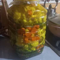 شور|خوردنی و آشامیدنی|تهران, شمیراننو|دیوار