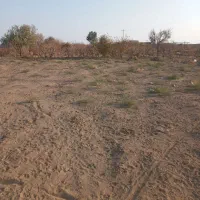 خرید چوب|خدمات باغبانی و درختکاری|گناباد, |دیوار