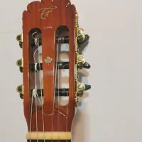 گیتار حرفه ای تاگیما|گیتار، بیس، امپلیفایر|اهواز, طالقانی|دیوار