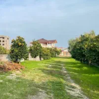 270-متر-چالوس-رادیودریا-ساحل-آرام