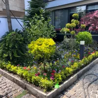 زوج سرایدار - آقا میتونن شغل مجزا داشته باشند