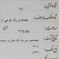 زمین ۲۲۵ متری ریگ|فروش زمین و ملک کلنگی|ریگ, |دیوار