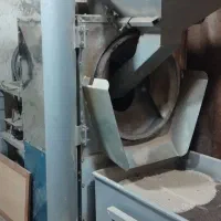 شورکاری انواع تخمه