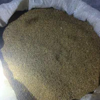 بذر یونجه