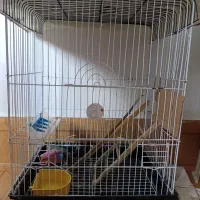 قفس بزرگ ۷۰۰ هزار تومن