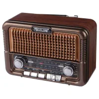 رادیو اسپیکر بلوتوثی رم و فلش‌خور قابل حمل شارژی