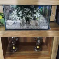 اکواریم