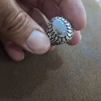 شجر رکاب فرشاد