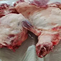 گوشت|خوردنی و آشامیدنی|تربت‌حیدریه, ترمینال|دیوار