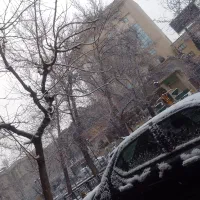 معلم زبان انگلیسی دورکاری و حضوری هستم.