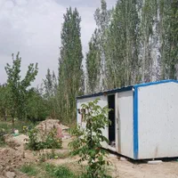 باغ فروشی درختان گردو / لب رودخانه حسن آباد