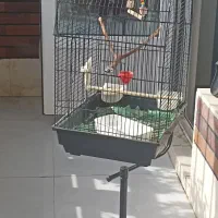 قفس پایه دار|لوازم جانبی حیوانات|پردیس, فاز ۴|دیوار