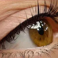 مرکز تخصصی آرایش دائم و ریموو تاتو بدن