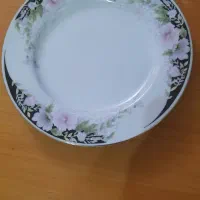 ظروف پذیرایی