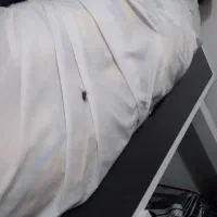 تخت میز ارایش|تخت و سرویس خواب|ورامین, ورامین|دیوار