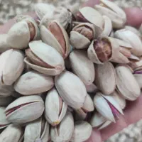 فروش پسته تازه خشک خندان|خوردنی و آشامیدنی|تهران, امیر بهادر|دیوار