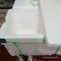 باکس یخدون|ظروف نگهدارنده، پلاستیکی، یک‌بارمصرف|بم, |دیوار