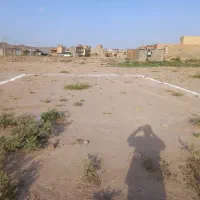 زمین بیسکوران داخل شهر