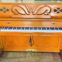 پیانو آکوستیک|پیانو، کیبورد، آکاردئون|صدرا-فارس, فاز ۱|دیوار