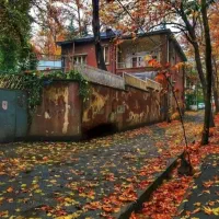 فروش مغازه تجاری۵۸متر توحیدی راد لوکیشن فوق‌العاده