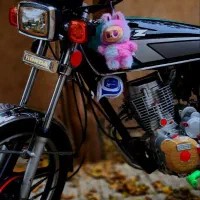 تعداد زیادی لبوبو