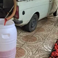 آبگیری گوجه وخورد کردن سبزی در محل ارزان