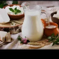 فروش شیر پرچرب مستقیم از گاوداری خودم