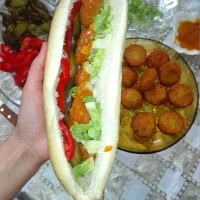 نیروی همکار خانم جهت کار درساندویچی