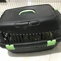 سگ پودل|سگ|کرج, ملک‌آباد|دیوار