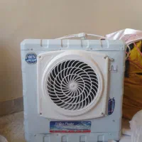 لوازم منزل|فرش|دماوند, گیلاوند|دیوار